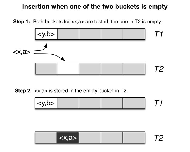 Cuckoo Hashing Code Capsule