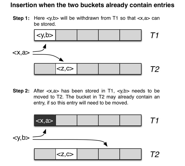 Cuckoo Hashing Code Capsule